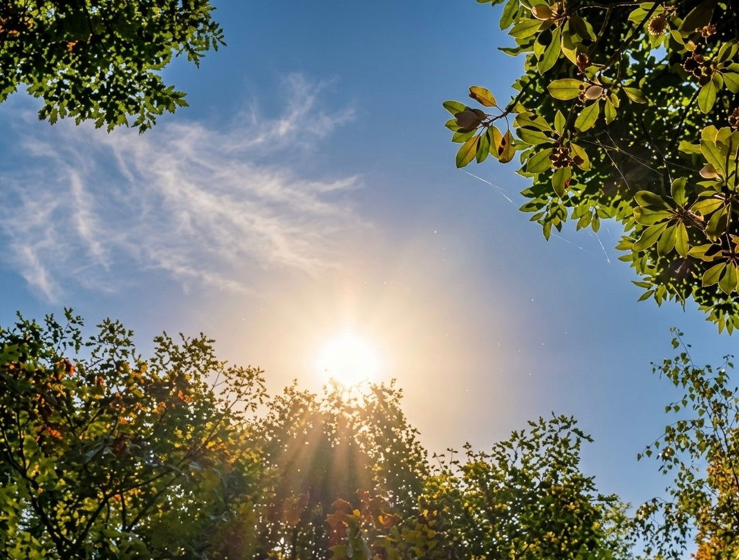 Sonneneinstrahlung im Sommer: Wie du dich richtig schützt